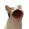 抖看小剧场